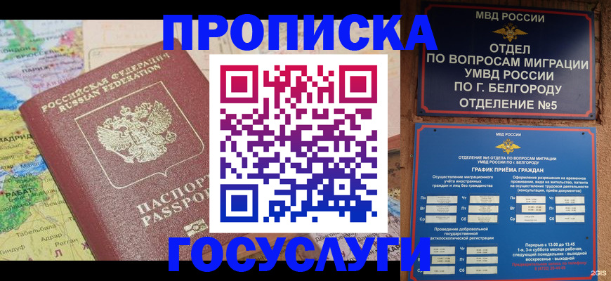 прописка регистрация в Михайловке
